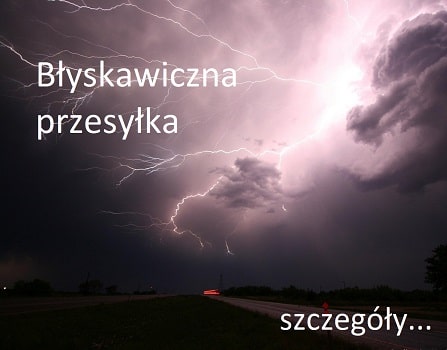 Błyskawiczna wysyłka